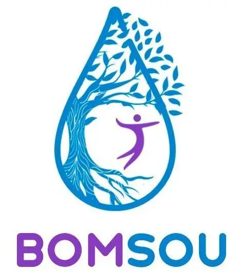 bomsou.com